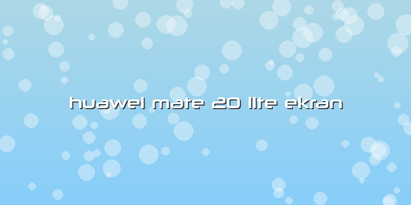 Huawei Mate 20 Lite Ekran