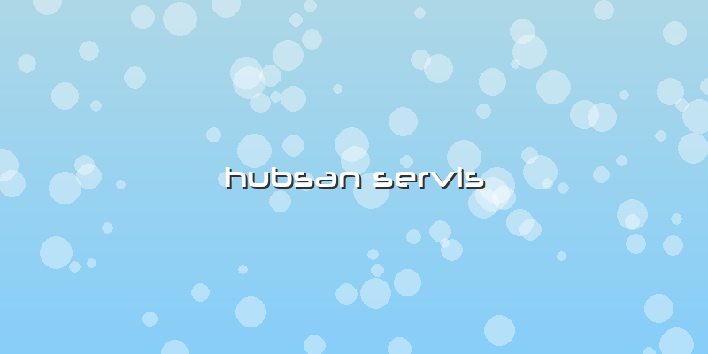 Hubsan Servis