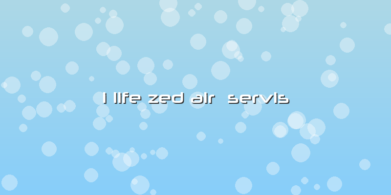 I Life Zed Air  Servis