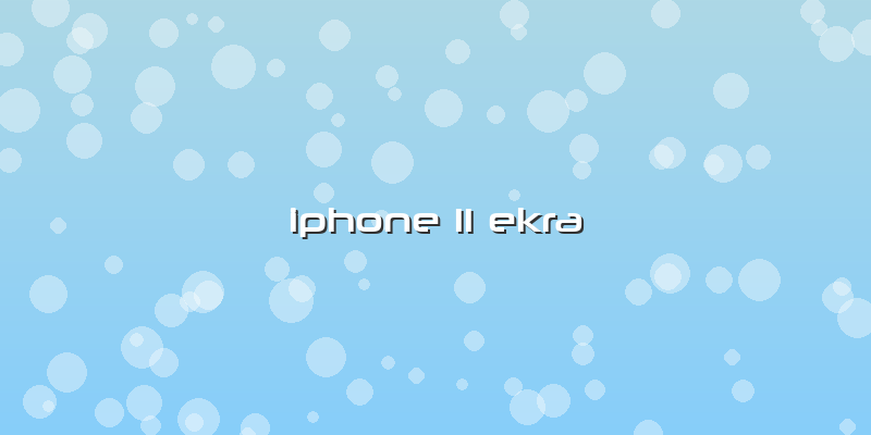 Iphone 11 Ekra