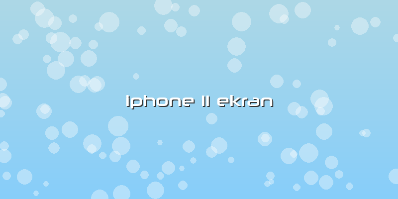 Iphone 11 Ekran