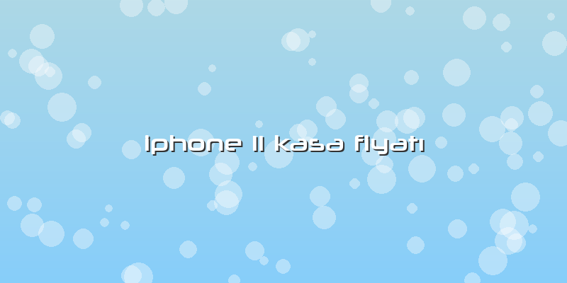 Iphone 11 Kasa Fiyatı