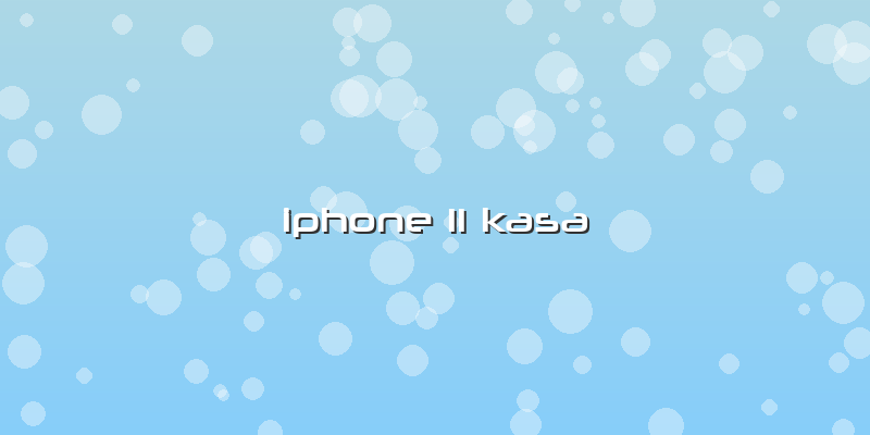 Iphone 11 Kasa