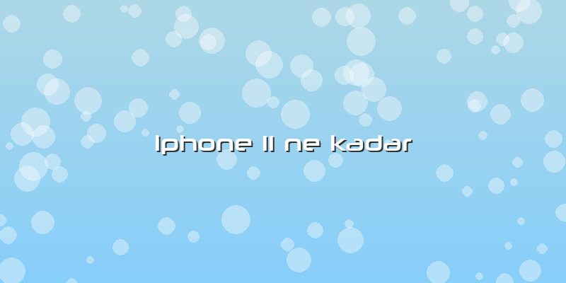 Iphone 11 Ne Kadar
