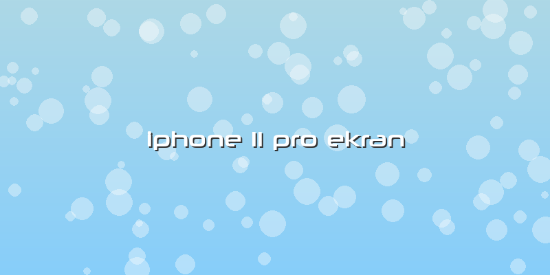 Iphone 11 Pro Ekran