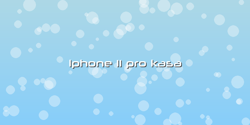 Iphone 11 Pro Kasa