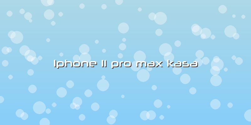 Iphone 11 Pro Max Kasa
