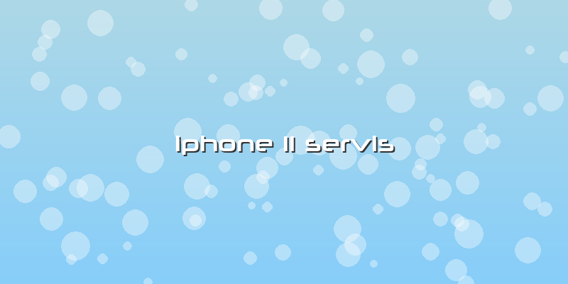 Iphone 11 Servis