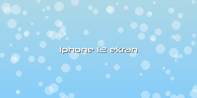 Iphone 12 Ekran