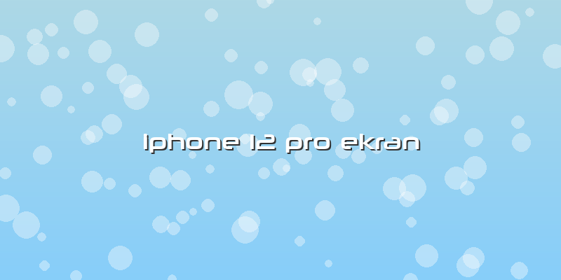 Iphone 12 Pro Ekran