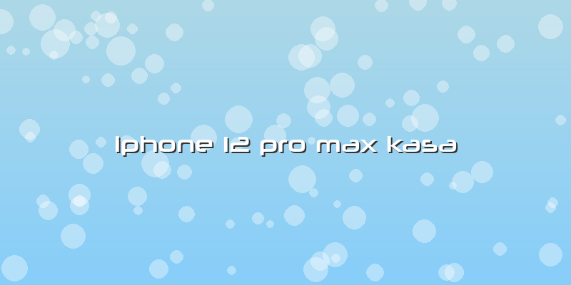 Iphone 12 Pro Max Kasa