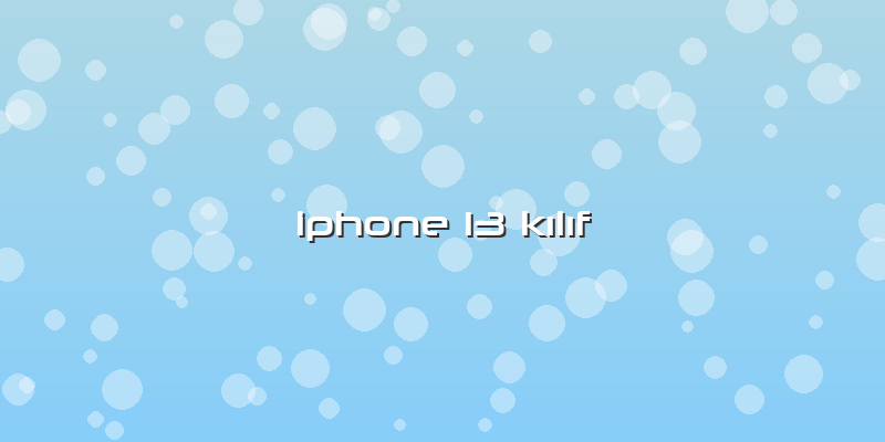 Iphone 13 KÄ±lÄ±f