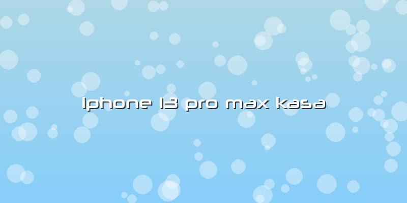Iphone 13 Pro Max Kasa