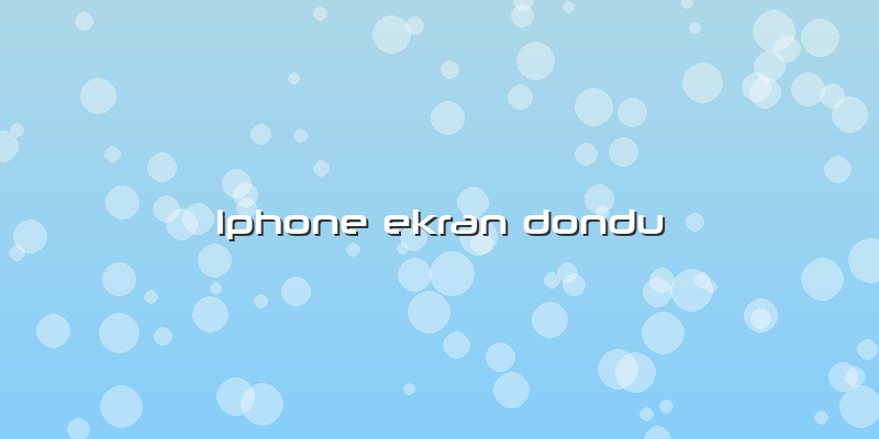 Iphone Ekran Dondu