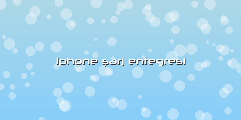 Iphone ÅŸarj Entegresi