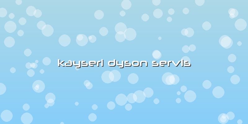 Kayseri Dyson Servis