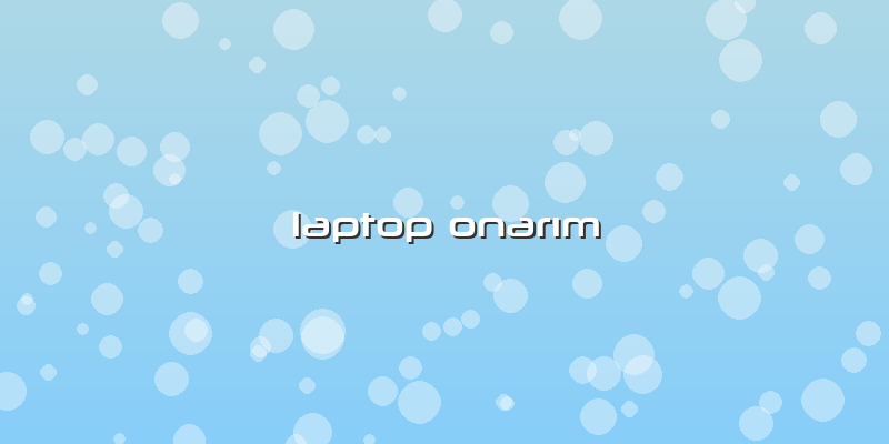 Laptop OnarÄ±m