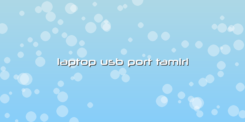 Laptop Usb Port Tamiri