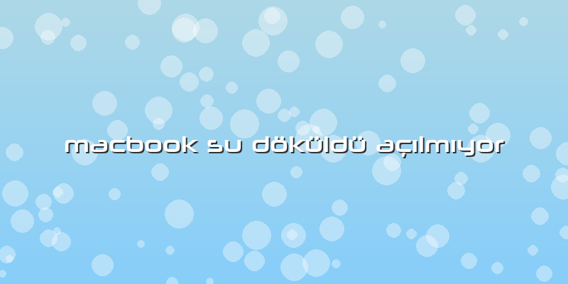Macbook Su Döküldü AçÄ±lmÄ±yor
