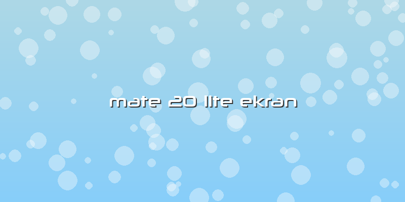 Mate 20 Lite Ekran