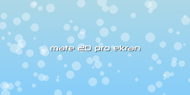 Mate 20 Pro Ekran