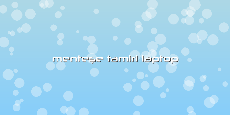 MenteÅŸe Tamiri Laptop