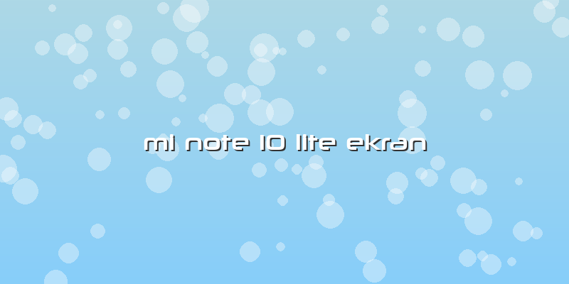 Mi Note 10 Lite Ekran