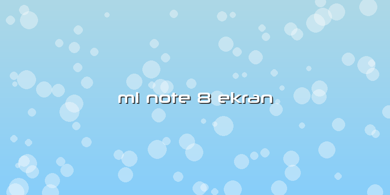 Mi Note 8 Ekran