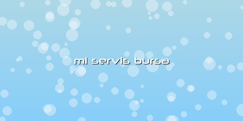 Mi Servis Bursa