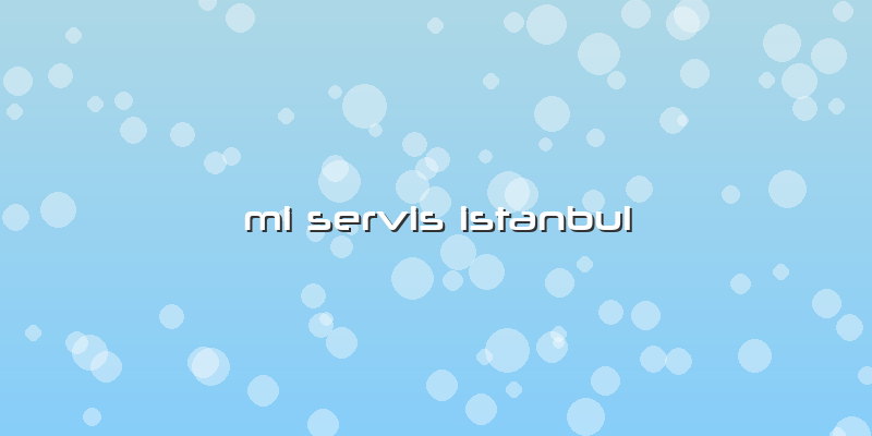 Mi Servis Istanbul
