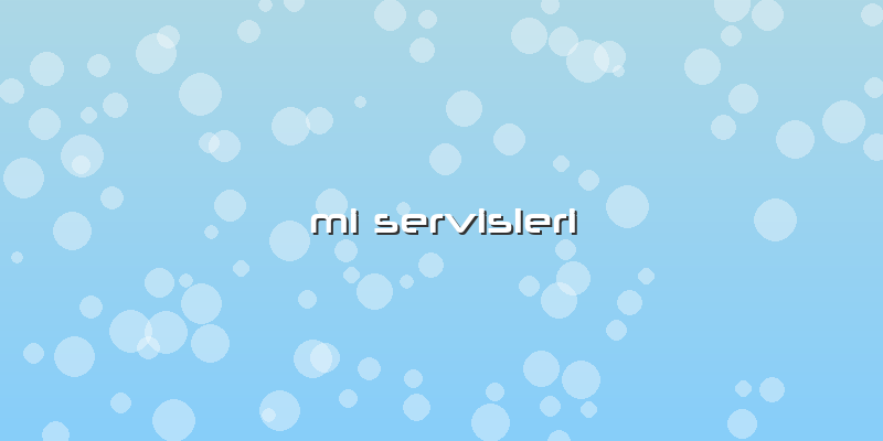 Mi Servisleri