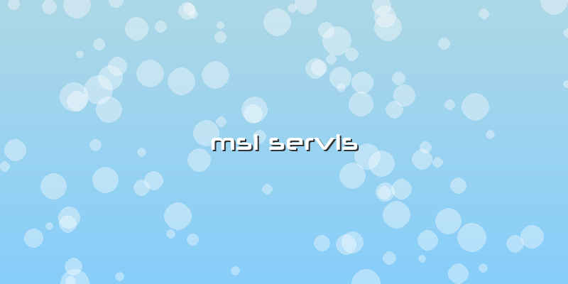 Msi Servis