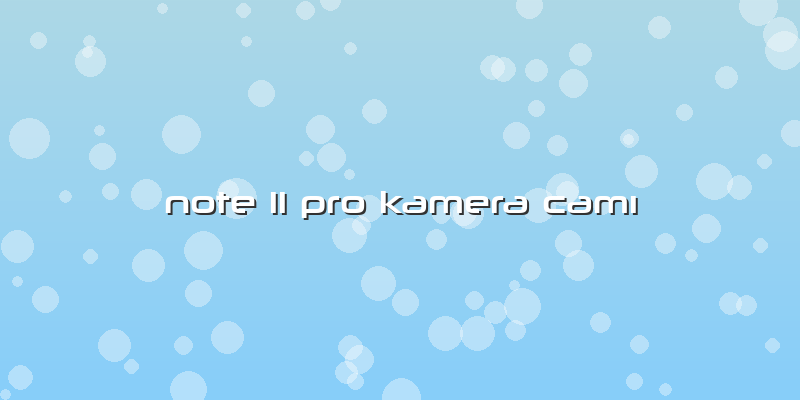 Note 11 Pro Kamera Camı