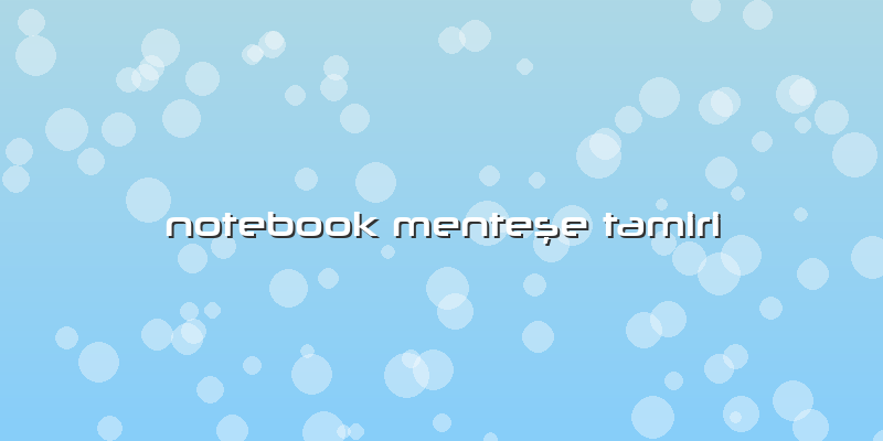 Notebook MenteÅŸe Tamiri