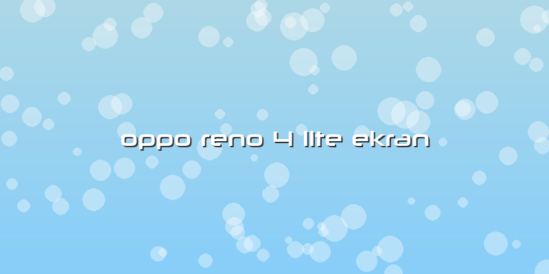 Oppo Reno 4 Lite Ekran