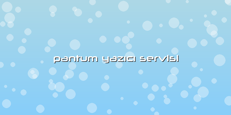 Pantum Yazıcı Servisi