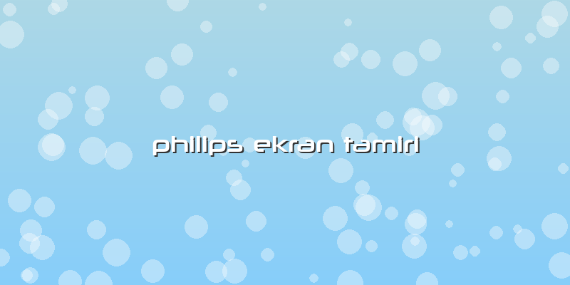 Philips Ekran Tamiri