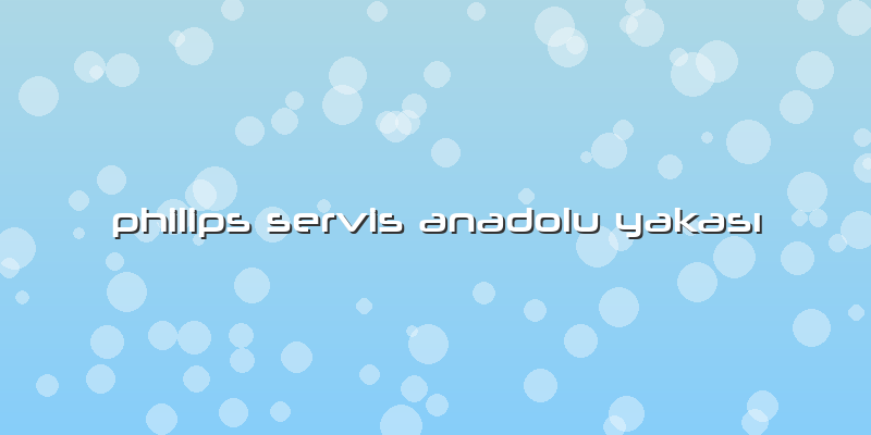 Philips Servis Anadolu Yakası
