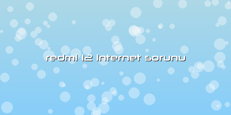 Redmi 12 Internet Sorunu