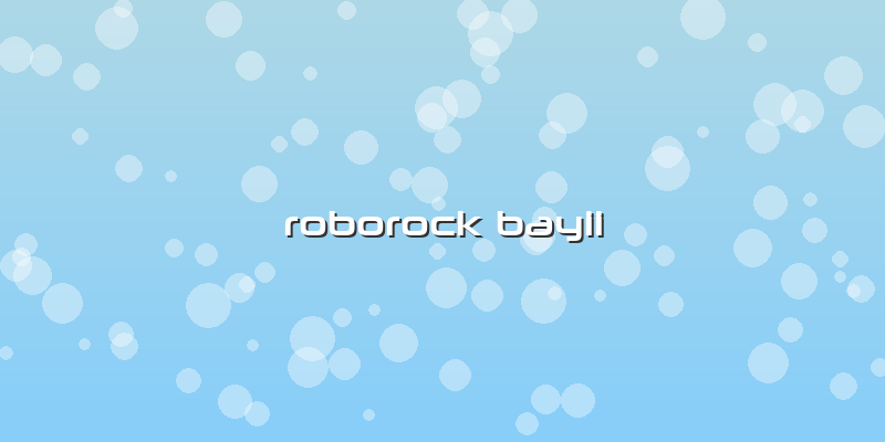 Roborock Bayii