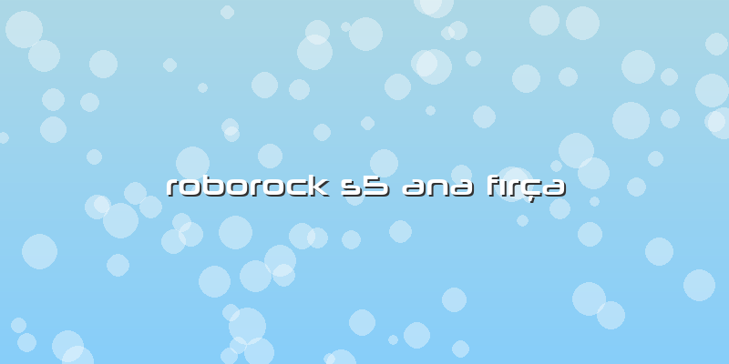 Roborock S5 Ana Fırça