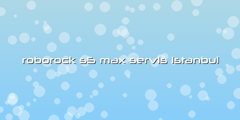 Roborock S5 Max Servis Istanbul