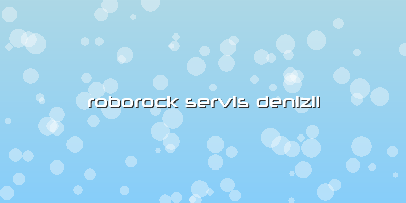 Roborock Servis Denizli