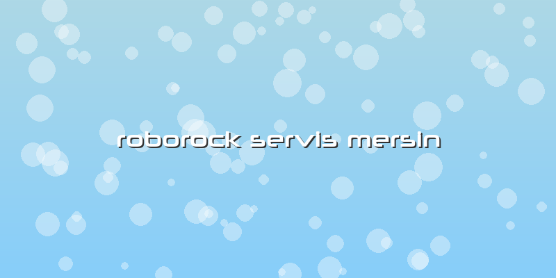 Roborock Servis Mersin