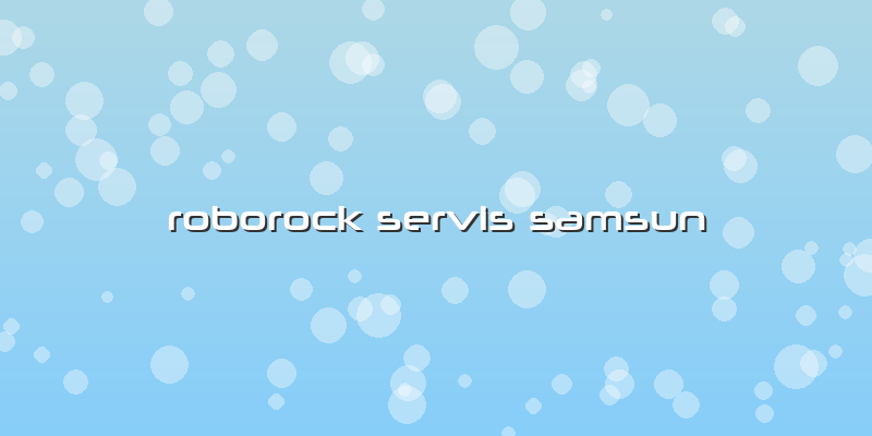 Roborock Servis Samsun