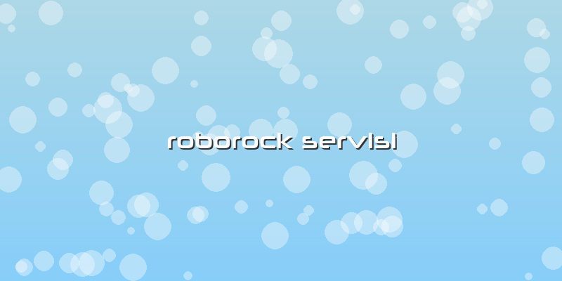 Roborock Servisi