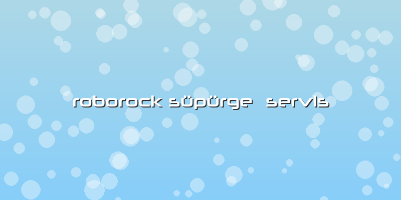 Roborock Süpürge  Servis