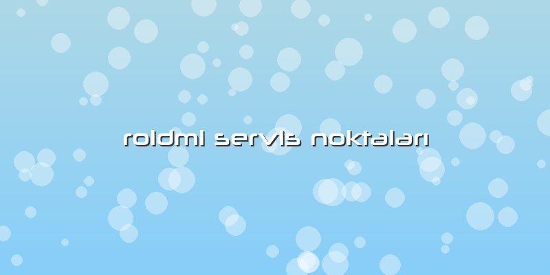 Roidmi Servis Noktaları