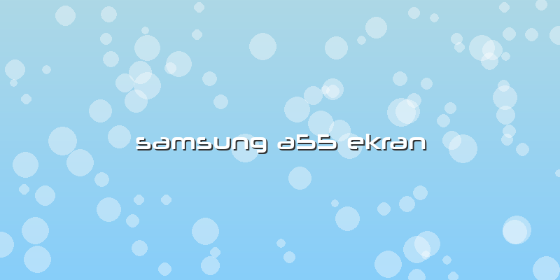 Samsung A55 Ekran