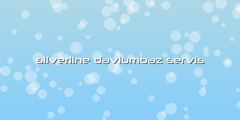Silverline Davlumbaz Servis